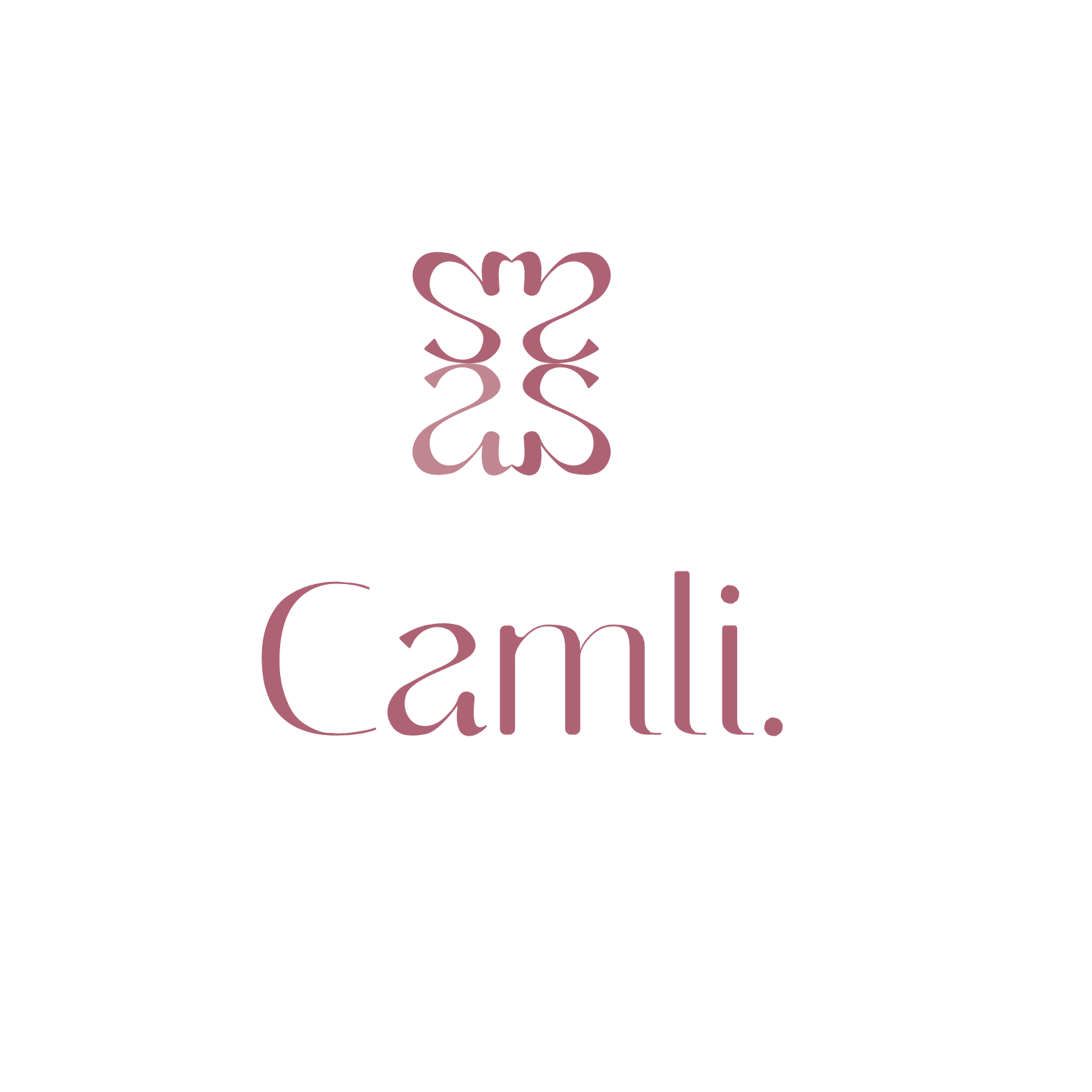 Camli Beauty — Positive Ads client